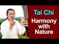 Harmonizing with the Elements: Tai Chi's Natural Flow  |  Taichi Zidong