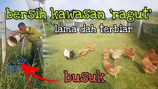 [Episod887] ini masa untuk kembali ke kebun abah. mulakan dengan kawasan kecil.