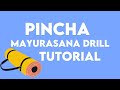 Pincha Mayurasana Drill