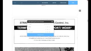 DotLoop Training: Splitting document into multiple files by ReMax Preferred Choice