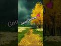 Good Evening 🌷💗🥰 WhatsApp Status || #youtube #nature #shorts #goodevening ||