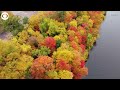 Drone footage captures colorful fall leaves in Minnesota