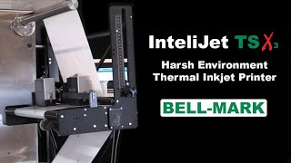 Bell-Mark InteliJet TSX Thermal Inkjet Printer