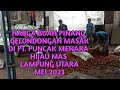 Harga buah pinang masak Mei 2023 di PT. Puncak Menara Hijau Mas Lampung Utara@NovanAChannel