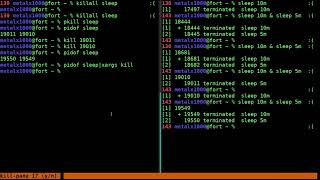 Killing Processes Linux Shell Tutorial