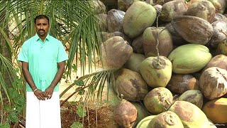 நல்ல வருமான தரும் தென்னை சாகுபடி | Malarum Bhoomi | Coconut Tree