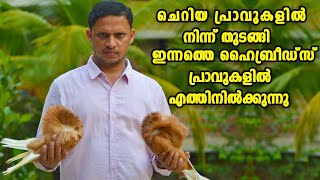 ചങ്കല്ല ചങ്കിടിപ്പാണ് ഇസ്മായിലിൻ്റെ പ്രാവുകൾ|Pigeon malayalam|Oru adaar pets story