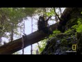 Door territorium van beren | Ultimate Survival Alaska s2