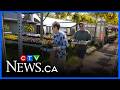 Slow starting to growing season in Cape Breton