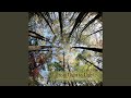 Sicut Cervus (feat. Giovanni da Palestrina)