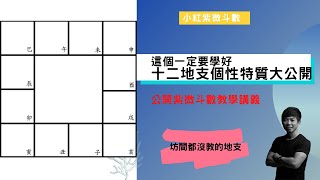 關鍵的十二地支｜學完論命功力大增 【小紅紫微斗數】