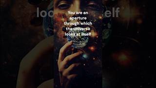 The Universe Observes Itself | Alan Watts #shorts #alanwatts #enlightenment #philosophy #wisdom
