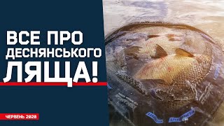 ВСЕ ПРО ДЕСНЯНСЬКОГО ЛЯЩА! РИБОЛОВЛЯ НА ФІДЕР У ЧЕРВНІ 2020!