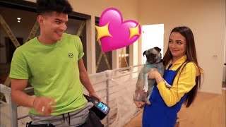 Alex wassabi and Vanessa Merrell being the cutest fake couple for 21 minutes