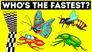 Who's the Fastest Bug Out There + Other Fun Facts