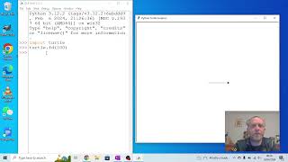 Using Python Turtle to make basic shapes