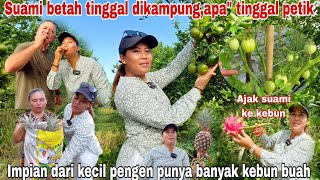 Download Mp3 PANEN NANAS DAN BUAH NAGA ORGANIK DI KEBUN TERBENGKALAI Suami bule senang tinggal di kung