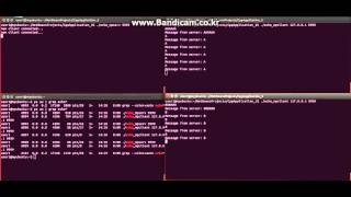 Echo Client & Server based on MultiProcessing