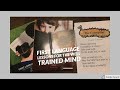 First Language Lessons Levels 1 & 2 Flip Through