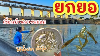 ยกยอ หลังเขื่อนจนค่ำ ►Fishing lifestyle Ep.779