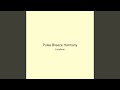 Pulse Breeze Harmony
