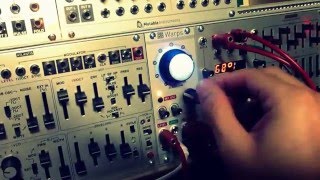 Warps Vocoder