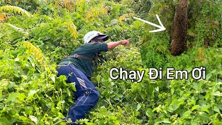 Nổi Ám Ảnh Của Em Trai Khi Gặp Tổ Ong Liền Bỏ Chạy Đến Nổi Lăn Lê Bò Lết Luôn