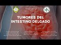 TUMORES DEL INTESTINO DELGADO