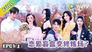 《半熟恋人 第五季》第1期上：刺激开局！三人约会暗潮汹涌｜Love Actually S5 #谢依霖 #沈奕斐 #夏之光 #张纯烨 #董璇