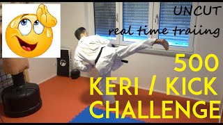 500 KICK CHALLENGE - karate kick challenge - uncut - real time training - TEAM KI