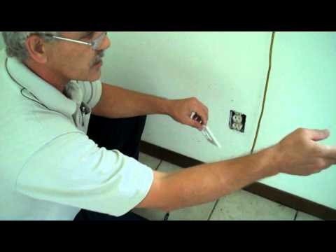 How To Deal With Ants In The Wall How To Deal With Ants In The Wall