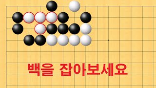 바둑 맥점 사활 - 백을 못 잡으면 만년하수 입니다