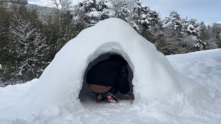 かまくら作ってハツと雪ウルイ食べる