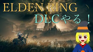 【ELDEN RING】気になることがまだまだ多いDLC