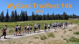 WyEast Trailfest 14k Sweeping