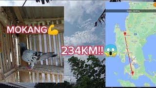 TRAINING NA PARANG DERBY 234KM BAYAMBANG PANGASINAN | NAG DAYBIRD DIN SI MOKANG😍