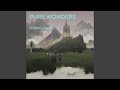 Pure Wonders
