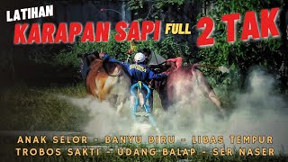 Latihan Karapan Sapi FULL 2 TAK || Persiapan Lomba PANGLIMA TNI