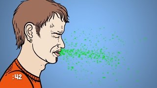 Can a Sneeze Kill You?