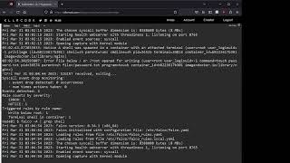 Falco - Kubernetes Cloud Native Runtime Security