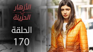 مسلسل الأزهار الحزينة | الحلقة 170