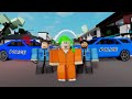 CRIMINAL IN BROOKHAVEN RP! (Roblox)