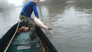 Ağ balıkla doldu: My Boat Almost SANK During This Insane Fishing Adventure!