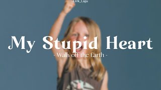My Stupid Heart - Luminati Suns (lyrics & terjemahan)