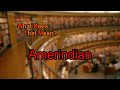 What does Amerindian mean?