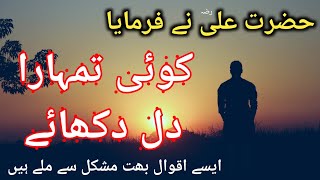 Hazrat Ali Quotes | Koi Tumhara Dil Dukhaye | Hazrat Ali R.A Ke Aqwal | Urdu Quotes