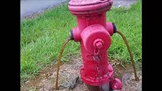 Hydrant Double Flush