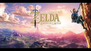 Zelda Breath Of The Wild#11