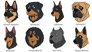 Most Dangerous Guard Dogs Explained in 7 Minutes