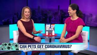 WCIU, The Jam -  Protecting Your Pet from COVID-19